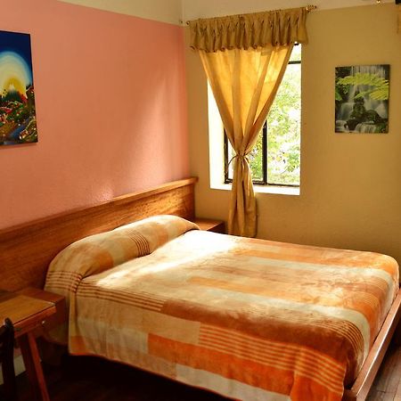 Hostal Loro Verde Quito Exterior photo
